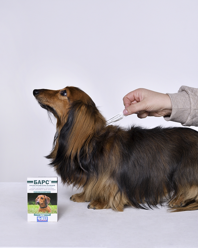 Капли Барс для собак 10-20 кг против блох и клещей (1 пипетка) – купить в  Москве, цены | Интернет-магазин Динозаврик