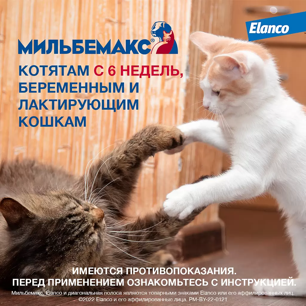 Антигельминтные таблетки Мильбемакс для котят