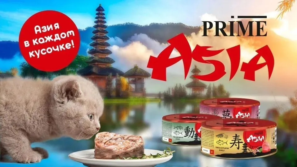 Банки Prime Asia для кошек с тунцом и креветки в желе