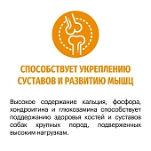 Сухой Корм Karmy Active Medium для собак, подверженных повышенным физическим нагрузкам с индейкой Сухой Корм Karmy Active Medium для собак, подверженных повышенным физическим нагрузкам с индейкой