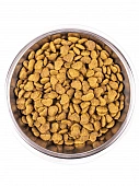 Сухой Корм Monge Cat Hairball для выведения шерсти из желудка с курицей Сухой Корм Monge Cat Hairball для выведения шерсти из желудка с курицей