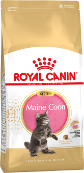 Royal Canin Maine Coon Kitten корм сухой сбалансированный для котят породы Мэйн Кун