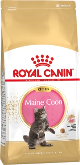 Royal Canin Maine Coon Kitten корм сухой сбалансированный для котят породы Мэйн Кун