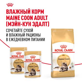 Корм для кошек Royal Canin Maine Coon Adult Корм сухой сбалансированный для взрослых кошек породы Мэйн Кун
