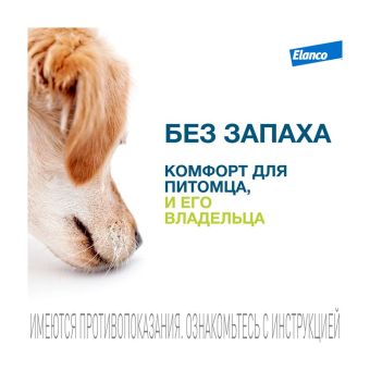 Водостойкий ошейник Форесто для собак от 8 кг от клещей, блох и вшей