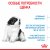 Royal Canin Giant Puppy корм сухой для щенков очень крупных размеров до 8 месяцев