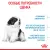Royal Canin Giant Puppy корм сухой для щенков очень крупных размеров до 8 месяцев Royal Canin Giant Puppy корм сухой для щенков очень крупных размеров до 8 месяцев