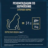 Влажный корм Felix Мясные Ломтики для взрослых кошек с уткой Влажный корм Felix Мясные Ломтики для взрослых кошек с уткой