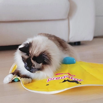 Игрушка Ferplast Predator электронная для кошек