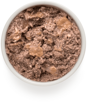 Консервы Grandorf для взрослых собак всех пород монопротеиновый паштет из ягненка