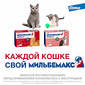 Антигельминтные таблетки Мильбемакс для котят