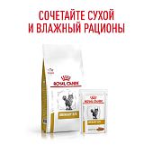 Паучи Royal Canin Urinary S/O для кошек при мочекаменной болезни
