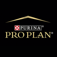 Скидка 10% на сухие корма для кошек и собак марки Pro Plan!
