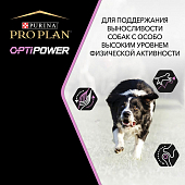 Сухой Корм Pro Plan Optipower для активных и рабочих взрослых собак с курицей Сухой Корм Pro Plan Optipower для активных и рабочих взрослых собак с курицей