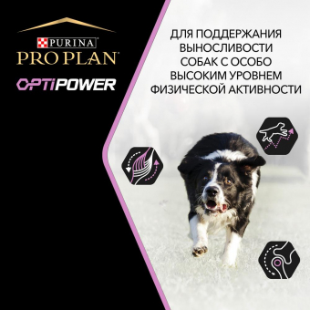 Корм Pro Plan Optipower для активных и рабочих взрослых собак с курицей