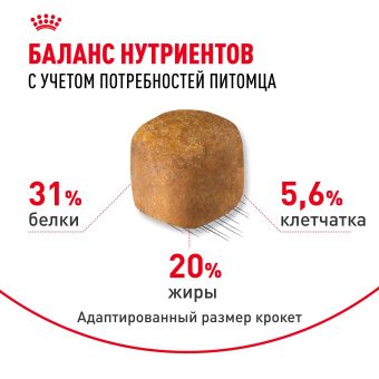 Корм для кошек Royal Canin Maine Coon Adult Корм сухой сбалансированный для взрослых кошек породы Мэйн Кун
