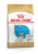 Корм Royal Canin French Bulldog Puppy для щенков породы Французский бульдог Корм Royal Canin French Bulldog Puppy для щенков породы Французский бульдог