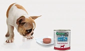 Консервы Farmina Vet Life Dog Gastro-Intestinal при заболевании ЖКТ для собак