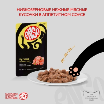 Паучи Enso Basic полнорационный корм для взрослых кошек кусочки в соусе с курицей