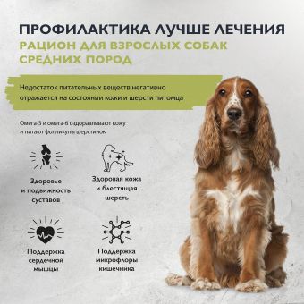 Корм Brit Care Dog Adult Healthy Skin&Shiny Coat для собак средних пород с лососем и индейкой для здоровой кожи и шерсти
