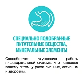 Сухой Корм Karmy Hypoallergenic Mini гипоаллергенный для собак мелких пород с ягнёнком Сухой Корм Karmy Hypoallergenic Mini гипоаллергенный для собак мелких пород с ягнёнком