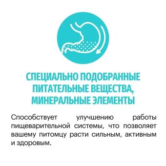 Корм Karmy Hypoallergenic Mini гипоаллергенный для собак мелких пород с ягнёнком