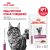 Паучи Royal Canin Renal для кошек для поддержания функции почек с говядиной в соусе
