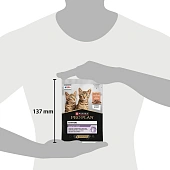 Влажный корм PRO PLAN® HEALTHY START® для котят, беременных и кормящих кошек, кусочки с лососем в соусе Влажный корм PRO PLAN® HEALTHY START® для котят, беременных и кормящих кошек, кусочки с лососем в соусе