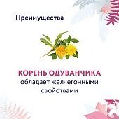 Корм Florida Preventive Line Hepatic для кошек для поддержание здоровья печени Корм Florida Preventive Line Hepatic для кошек для поддержание здоровья печени