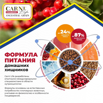 Корм Carni Medium Maxi для средних и крупных пород собак слососем, апельсином и клюквой