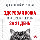 Royal Canin Hair & Skin Care корм консервированный для взрослых кошек в желе Royal Canin Hair & Skin Care корм консервированный для взрослых кошек в желе