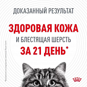 Royal Canin Hair & Skin Care корм консервированный для взрослых кошек в желе