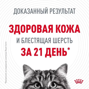 Royal Canin Hair & Skin Care корм консервированный для взрослых кошек в желе