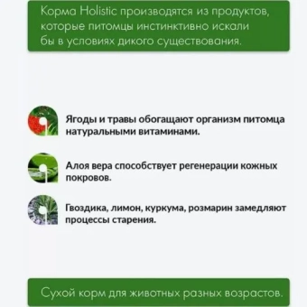 Корм Alleva Holistic Adult Cat Lamb & Venison для взрослых кошек  с ягнёнком и олениной, коноплёй и женьшенем