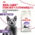 Корм для стерилизованных кошек Royal Canin Sterilised 7+ Корм сухой сбалансированный Корм для стерилизованных кошек Royal Canin Sterilised 7+ Корм сухой сбалансированный