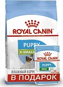 Сухой Корм Royal Canin X-Small Puppy для щенков миниатюрных размеров + 1 пауч Mini Puppy ПРОМОПАК