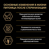 Сухой Корм Purina Pro Plan Sterilised для стерилизованных кошек с индейкой 10+2 кг ПРОМОПАК Сухой Корм Purina Pro Plan Sterilised для стерилизованных кошек с индейкой 10+2 кг ПРОМОПАК