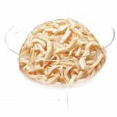 Паучи Inaba для кошек с куриным филе со вкусом морского гребешка Паучи Inaba для кошек с куриным филе со вкусом морского гребешка