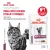 Паучи Royal Canin Renal для кошек для поддержания функции почек с курицей в соусе