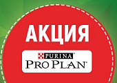 Акция на сухие и влажные корма для собак Pro Plan в зоомагазинах "Динозаврик"!