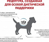 Сухой Корм Royal Canin Skin Care Small Dog диета для собак весом до 10 кг при дерматозах