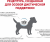 Корм Royal Canin Skin Care Small Dog диета для собак весом до 10 кг при дерматозах