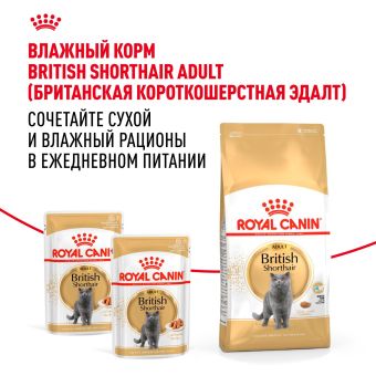 Корм сухой сбалансированный Royal Canin British Shorthair Adult для взрослых британских короткошерстных кошек