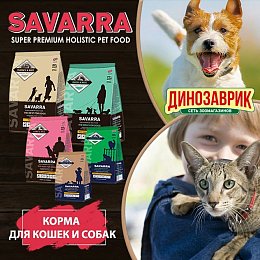 Новый бренд Savarra в зоомагазинах Динозаврик