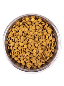 Корм Monge Cat Speciality Line Monoprotein Sterilised монопротеиновый для стерилизованных кошек из форели
