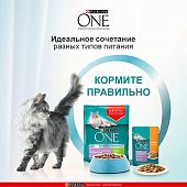 Паучи Purina One Sensetive Cat для кошек с курицей и морковью для чувствительного пищеварения