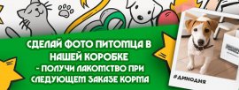 Рубрика «Дино дня!». Присоединяйтесь и вы к нам!