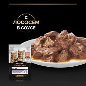 Влажный корм PRO PLAN® HEALTHY START® для котят, беременных и кормящих кошек, кусочки с лососем в соусе Влажный корм PRO PLAN® HEALTHY START® для котят, беременных и кормящих кошек, кусочки с лососем в соусе