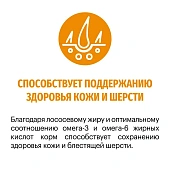 Сухой Корм Karmy Hair & Skin для кошек, поддерживающий здоровье кожи и шерсти с лососем Сухой Корм Karmy Hair & Skin для кошек, поддерживающий здоровье кожи и шерсти с лососем