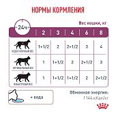Паучи Royal Canin Renal для кошек для поддержания функции почек с курицей в соусе Паучи Royal Canin Renal для кошек для поддержания функции почек с курицей в соусе